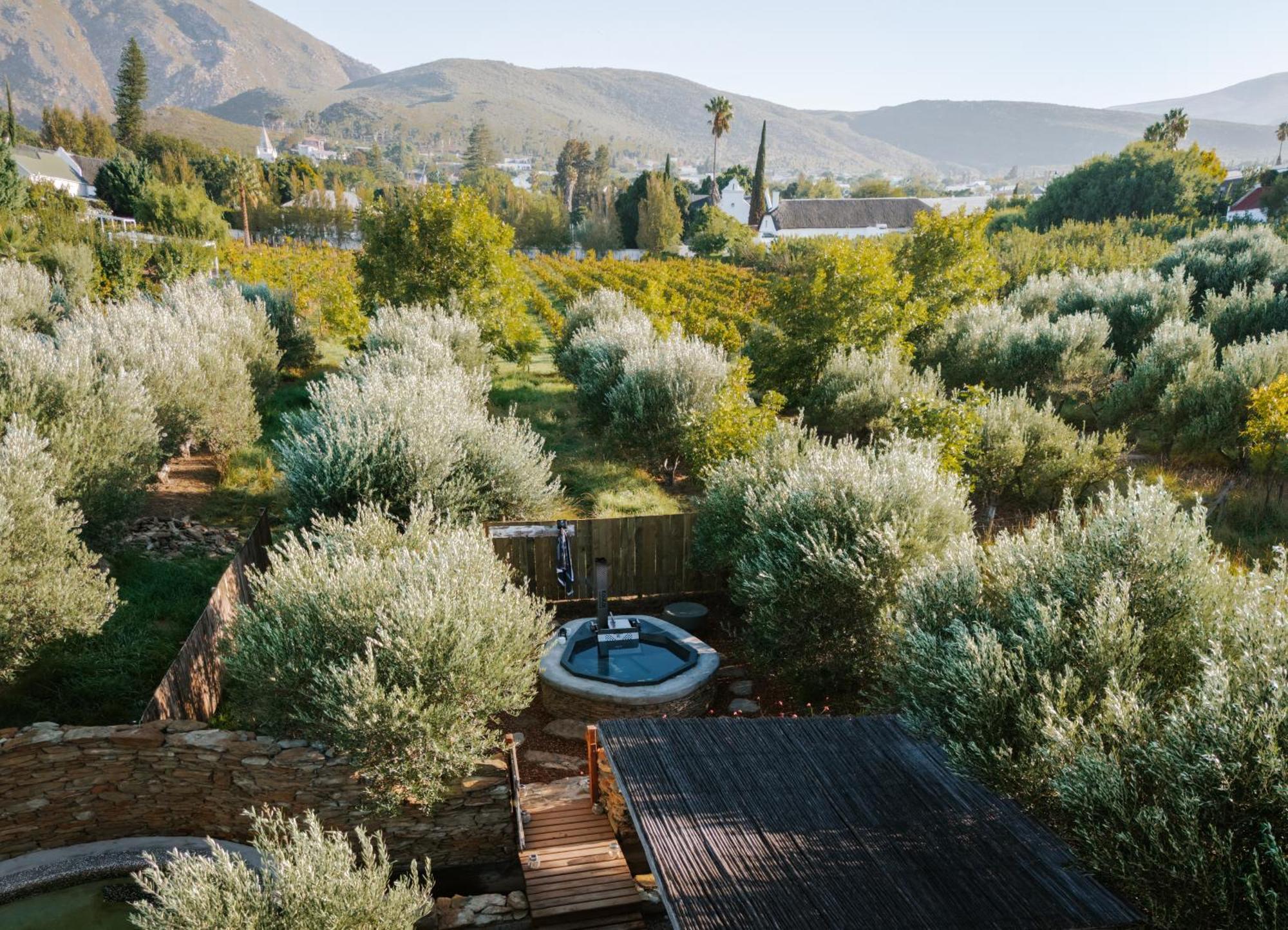 Olive Stone Farm Cottages Montagu Exterior foto
